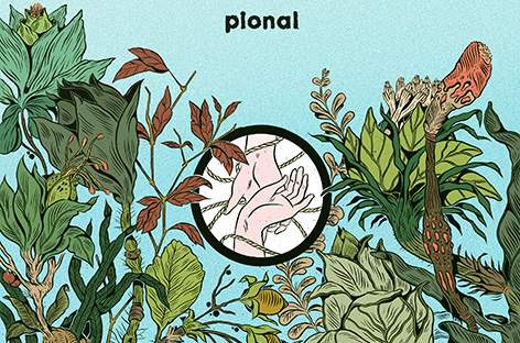 Counter Records announces new Pional EP image