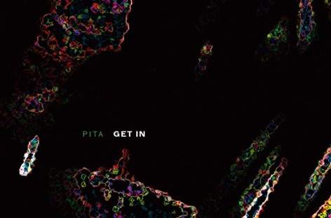 Pita returns with new album, Get In image