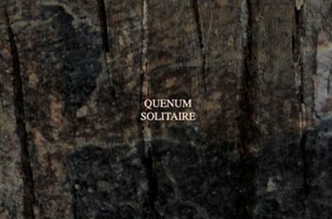 Quenum back on Cadenza with Solitaire after 13-year hiatus image