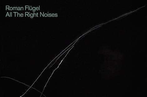 Roman Flügel announces new album, All The Right Noises image