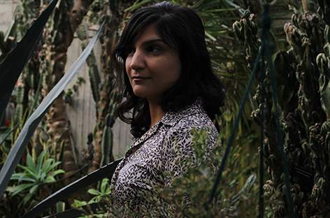 Two Sarah Davachi albums on the way image