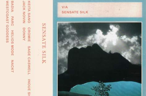 100% Silk celebrates 100th release with Sensate Silk compilation image