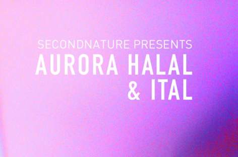 Seattle's secondnature crew hosts Ital and Halal image