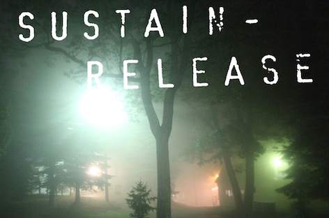 DJ Sprinkles and Optimo play Sustain-Release 2016 image