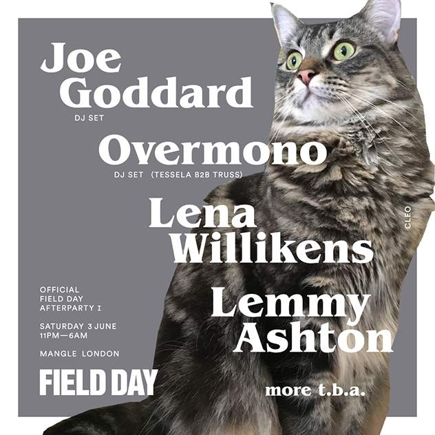 Field Day announces 2017 afterparties with Lena Willikens, Moodymann image