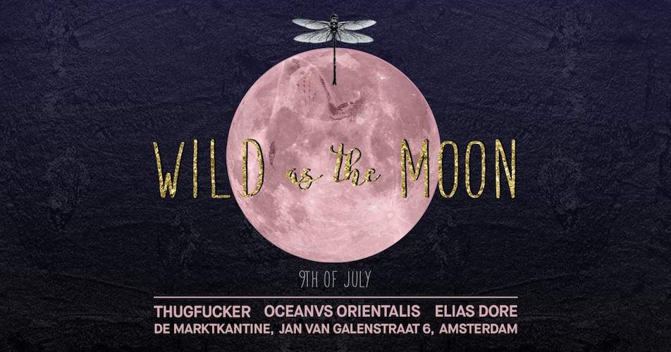The Gardens Of Babylon and De Marktkantine launch new party series, Wild As The Moon image