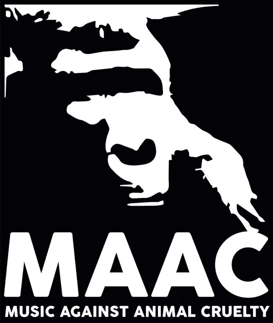 Art Department's Jonny White starts animal cruelty charity, MAAC image