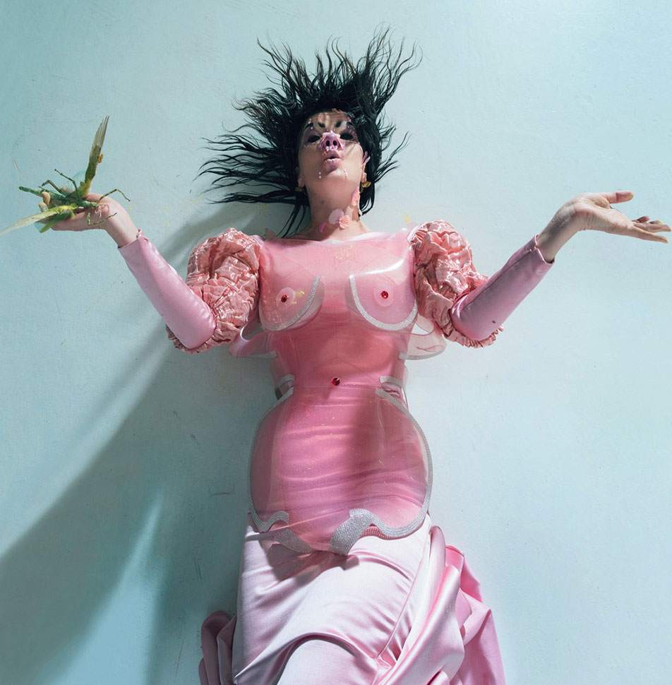Björk's new album is finished image
