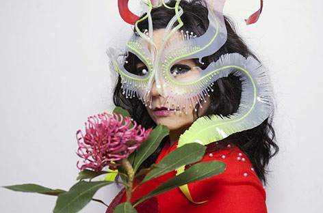 Björk elaborates on sexual harassment by Danish director image