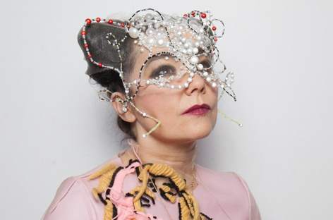 Björk's new album is coming out in November image