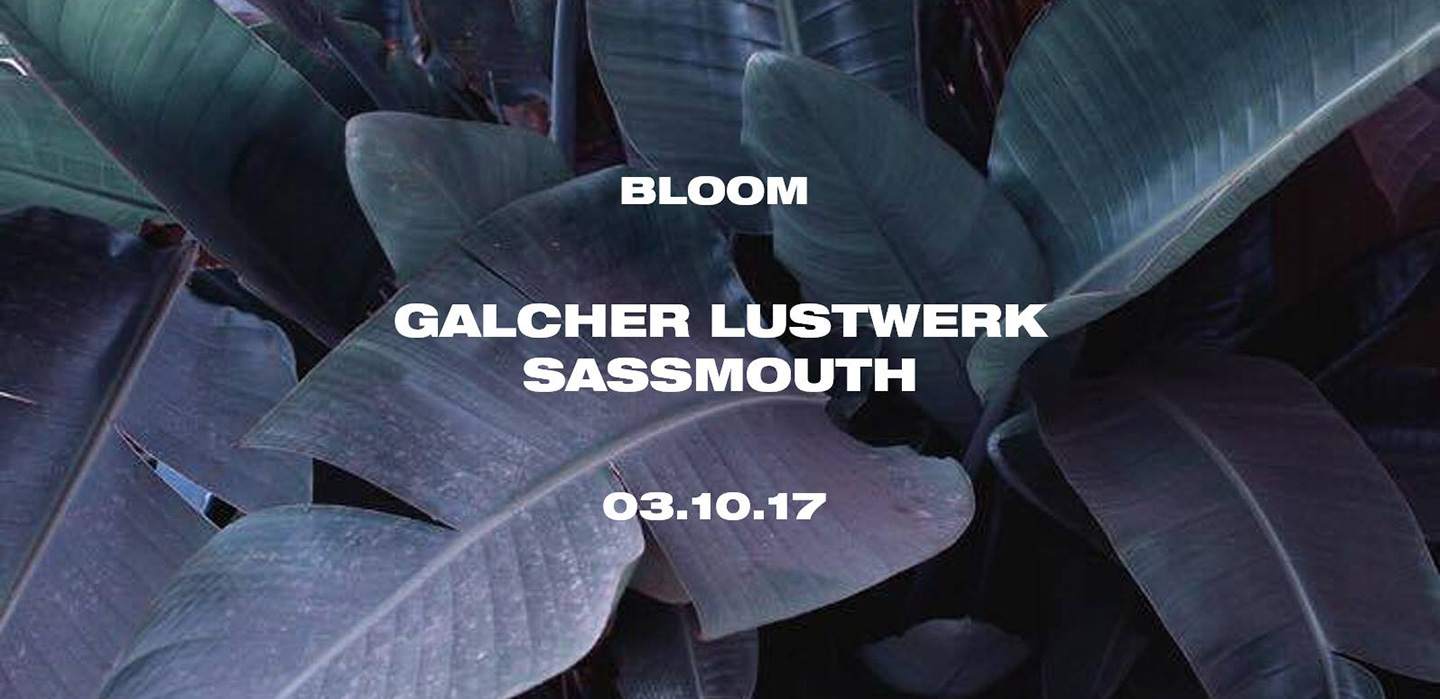 Galcher Lustwerk and Sassmouth booked for Bloom in Detroit image