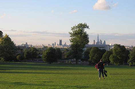 Brixton's Brockwell Park to host Field Day 2018 image