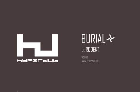 New Burial EP, Rodent, features Kode9 remix image