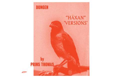 Prins ThomasがスウェーデンのバンドDungenを再解釈、ニューアルバムとして発表 image