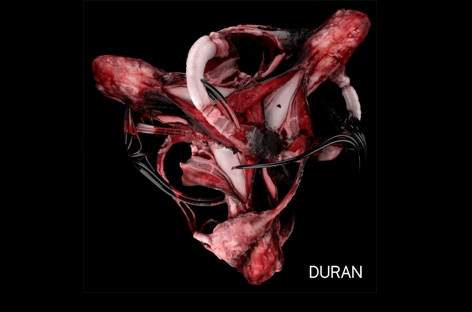 Power Vacuum reveals new album from Duran Duran Duran image