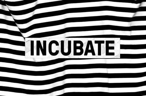 Incubate festival folds due to funding cuts image
