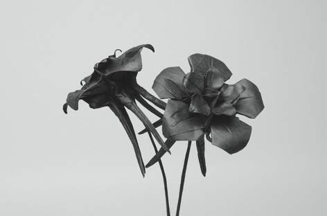 Jlin returns with Dark Lotus EP ahead of second album image