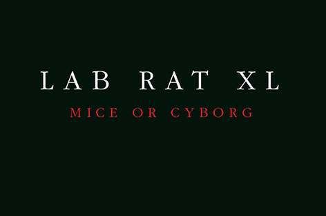 The final Drexciyan 'storm,' Lab Rat XL album Mice Or Cyborg, to be repressed by Clone image