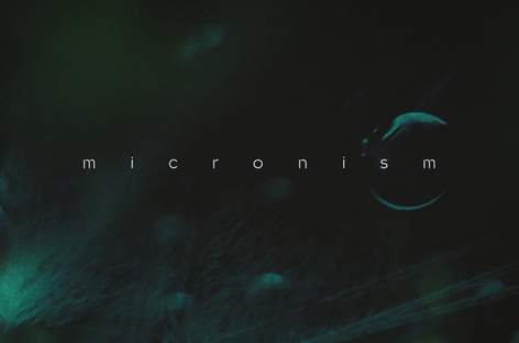 Micronism's Inside A Quiet Mind album from 1998 gets first vinyl release image