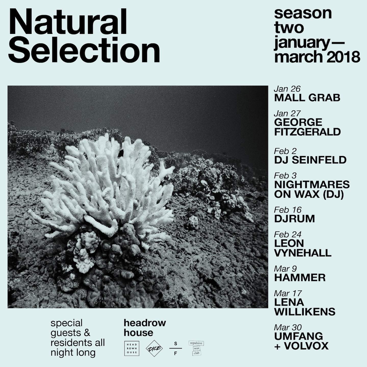 Leeds party Natural Selection books Mall Grab, Lena Willikens for 2018 image