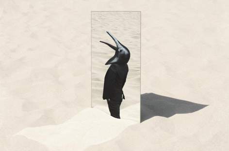 Penguin Cafe returns with new album, The Imperfect Sea image