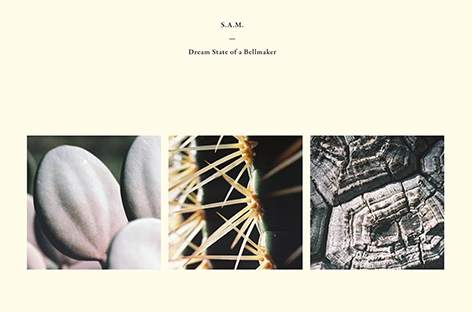 S.A.M. reveals debut album, Dream State Of A Bellmaker image