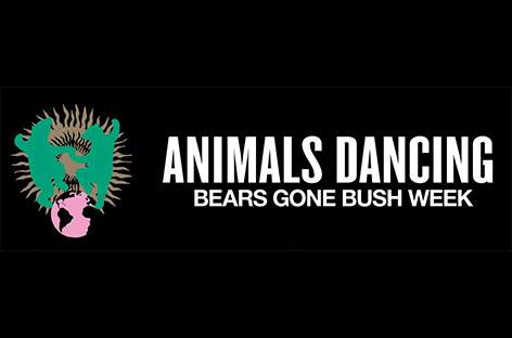 Animals Dancing cancel inaugural Bears Gone Bush festival image
