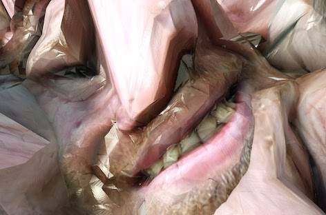Aphex Twin unveils video for new song, 'T69 Collapse,' and more EP details image