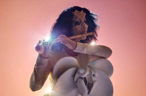 Björk reveals new live show, Cornucopia image