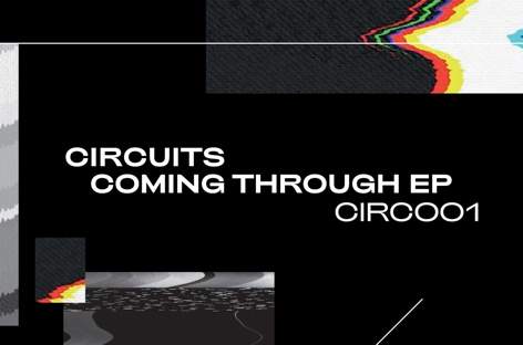 Critical Music founder Kasra teams up with InsideInfo for new project, Circuits image