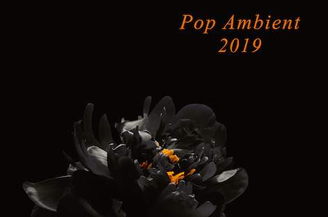Kompakt announces Pop Ambient 2019 image