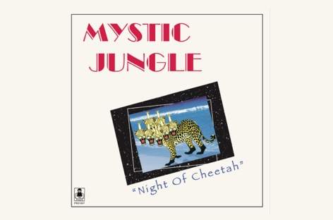 Mystic Jungle goes solo on new album, Night Of Cheetah image