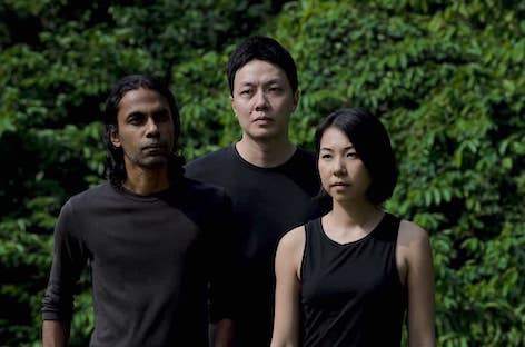 Singaporean band The Observatory details Playfreely 2019 festival image