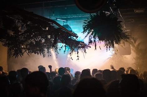 Closed Rotterdam club BAR will temporarily reopen in The Hague image