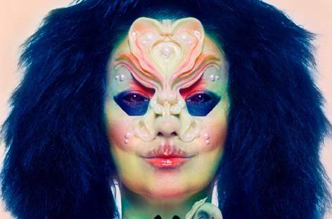 Björk's Vulnicura LP now comes in virtual reality image