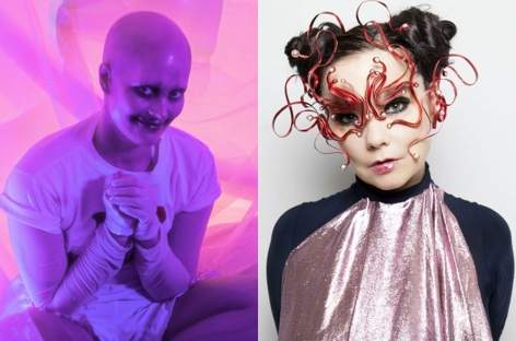 Björk and Fever Ray remix each other image