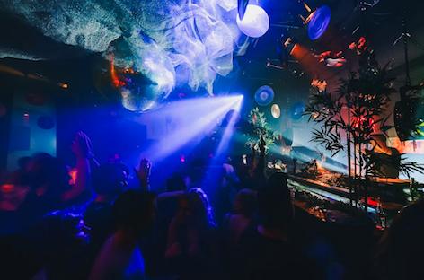 Amsterdam club Claire to close next month image