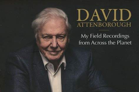 David Attenborough launches competition to remix 1956 field recording image