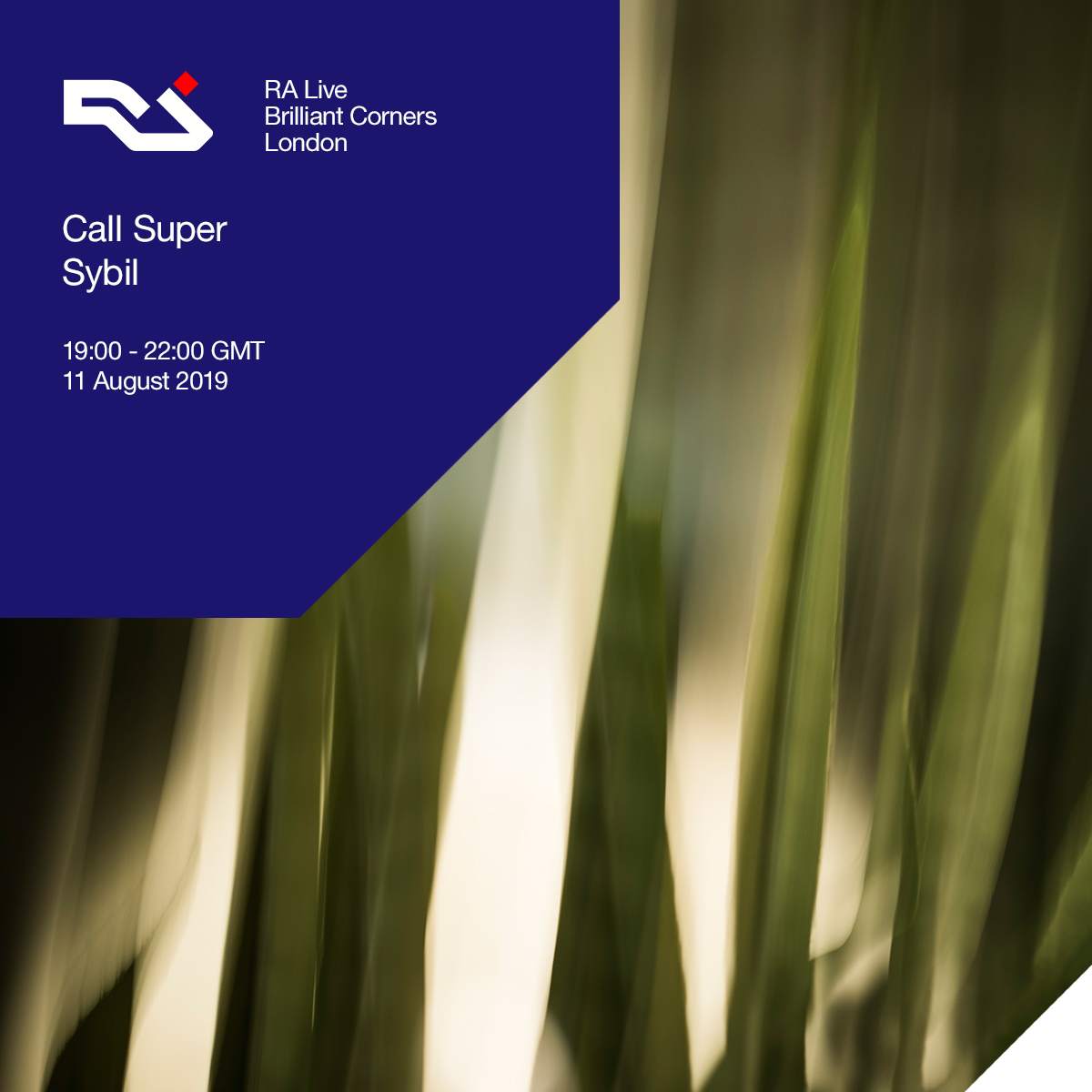 Call Super and Sybil to play RA Live at Brilliant Corners image