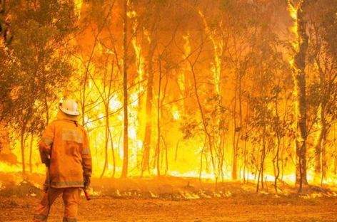 Australian promoters announce bushfire relief fundraisers image