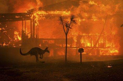 Mall Grab、Lou Karsh、DJ Pleadらがオーストラリアの森林火災の救援ファンドレインジングを表明 image