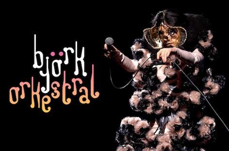 Björk to perform three shows at Reykjavík's Harpa Hall this August image