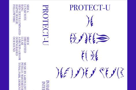 Protect-U return with new LP, In Harmony Of An Interior World image