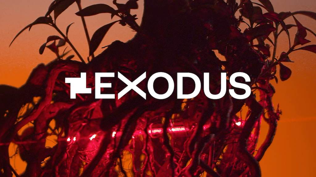 London club fabric celebrates 23 years with new outdoor festival, EXODUS image