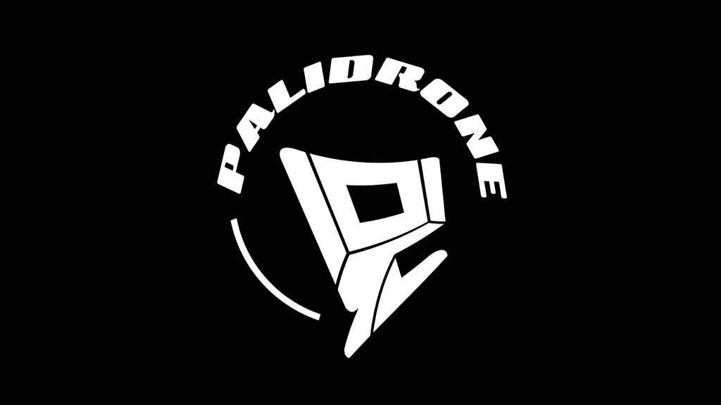 Edinburgh party Palidrone launches label with split EP, Rattle image
