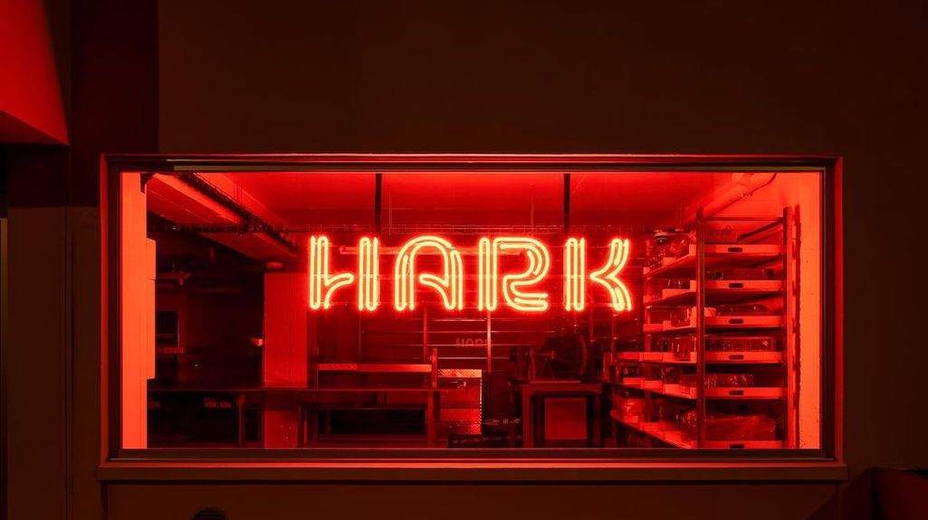 New record shop HARK opens in Paris image