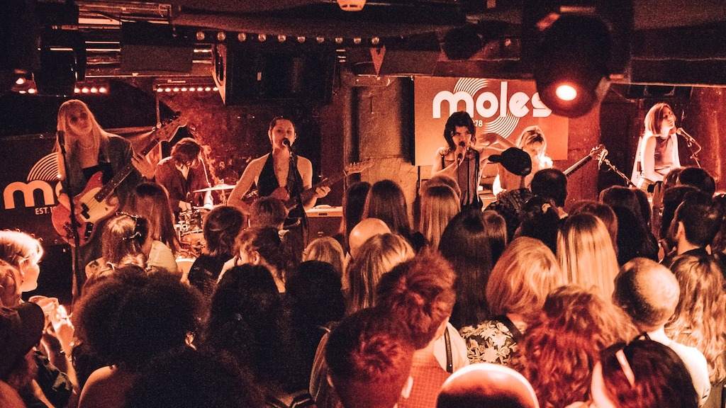 Legendary Bath venue Moles to close after 45 years image