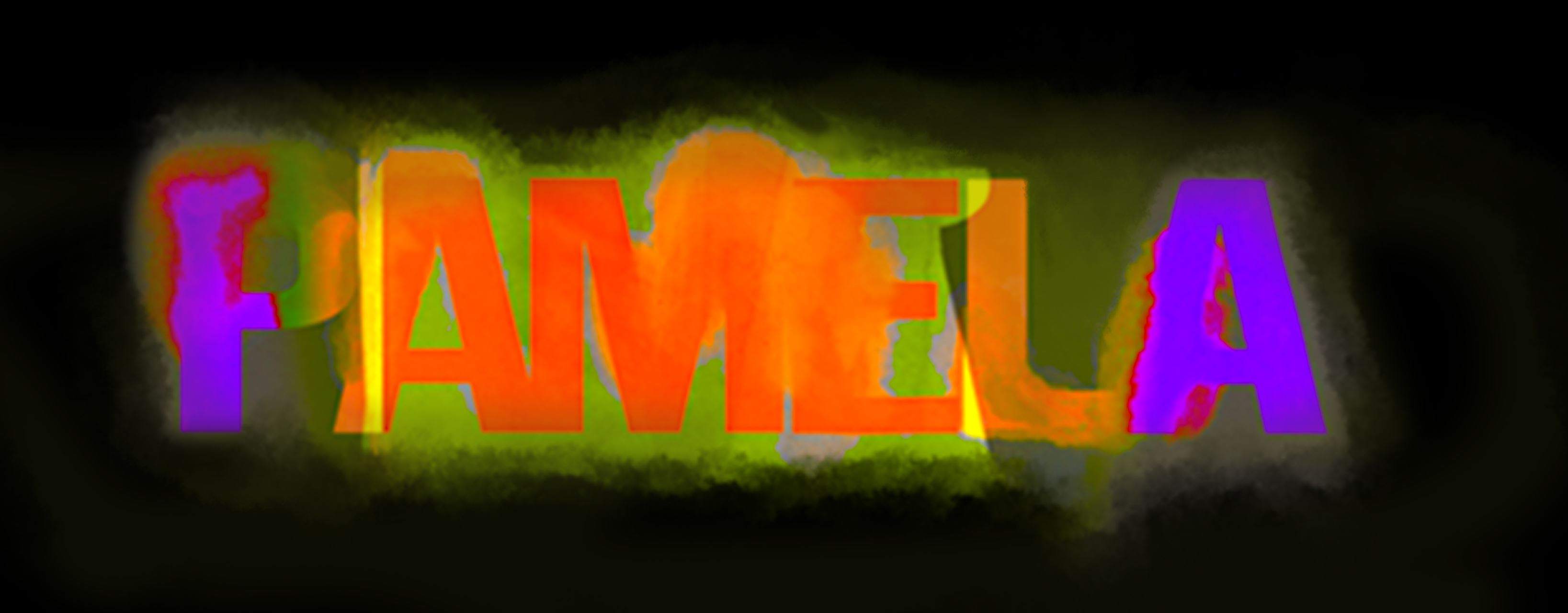 pamela-amsterdam-upcoming-events-tickets