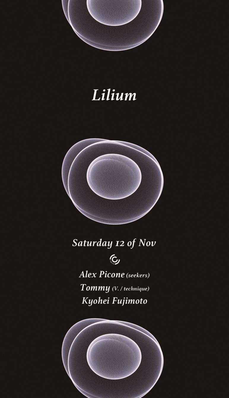 Lilium - Flyer front