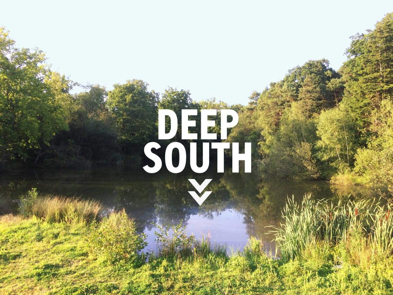 Deep South Music & Arts Festival - Flyer back